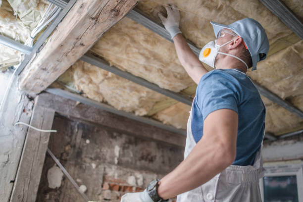 Best Commercial Insulation in Baldwin City, KS